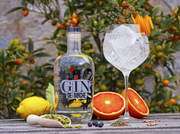 Gin de Binche reduite (2)