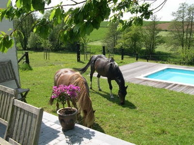 Le Relais du Bruille 3.png