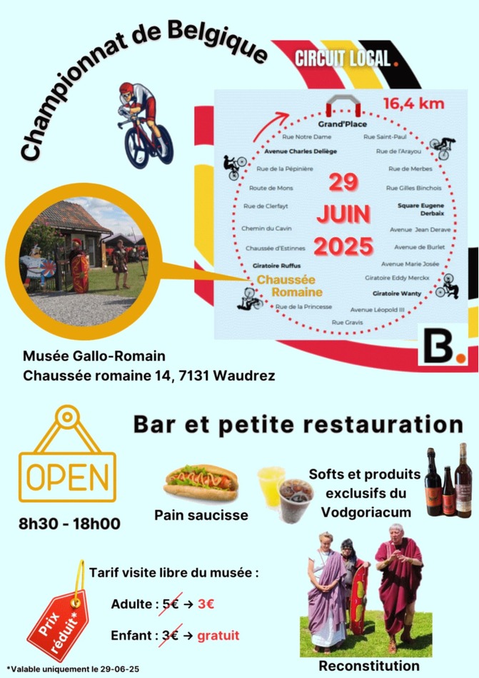 Affiche musée Gallo romain