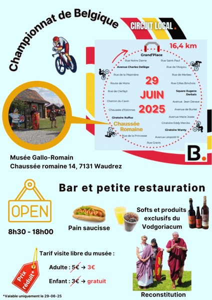 Affiche musée Gallo romain