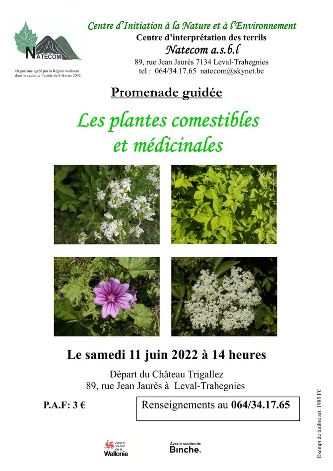 Les plantes comestibles 11 juin 2022