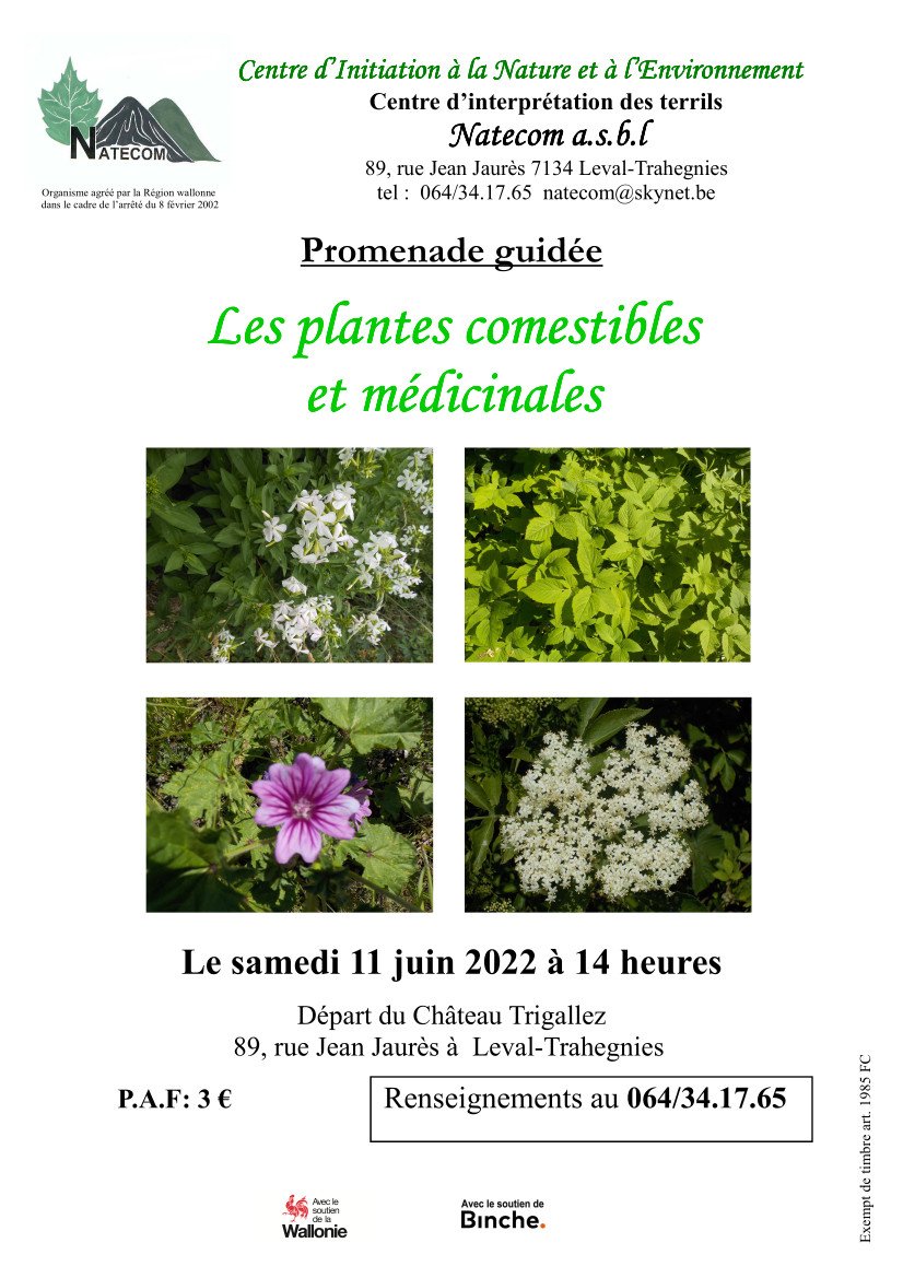 Les plantes comestibles 11 juin 2022
