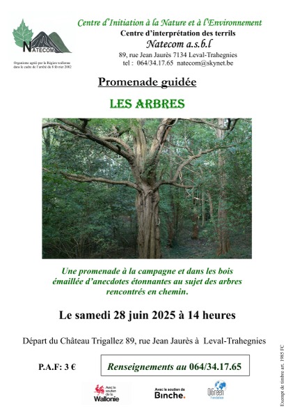 Les arbres 28 juin 2025