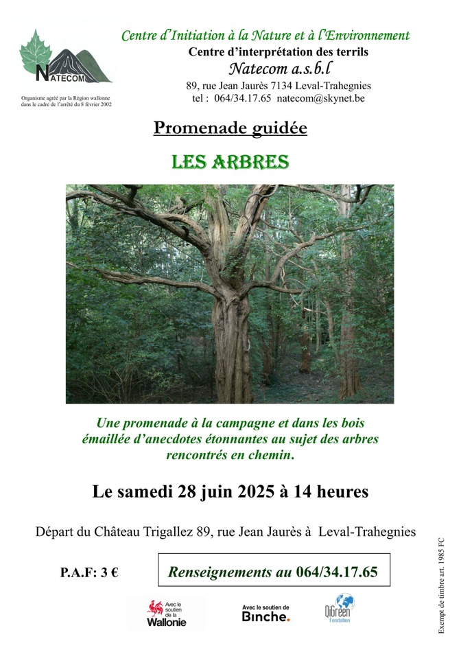 Les arbres 28 juin 2025