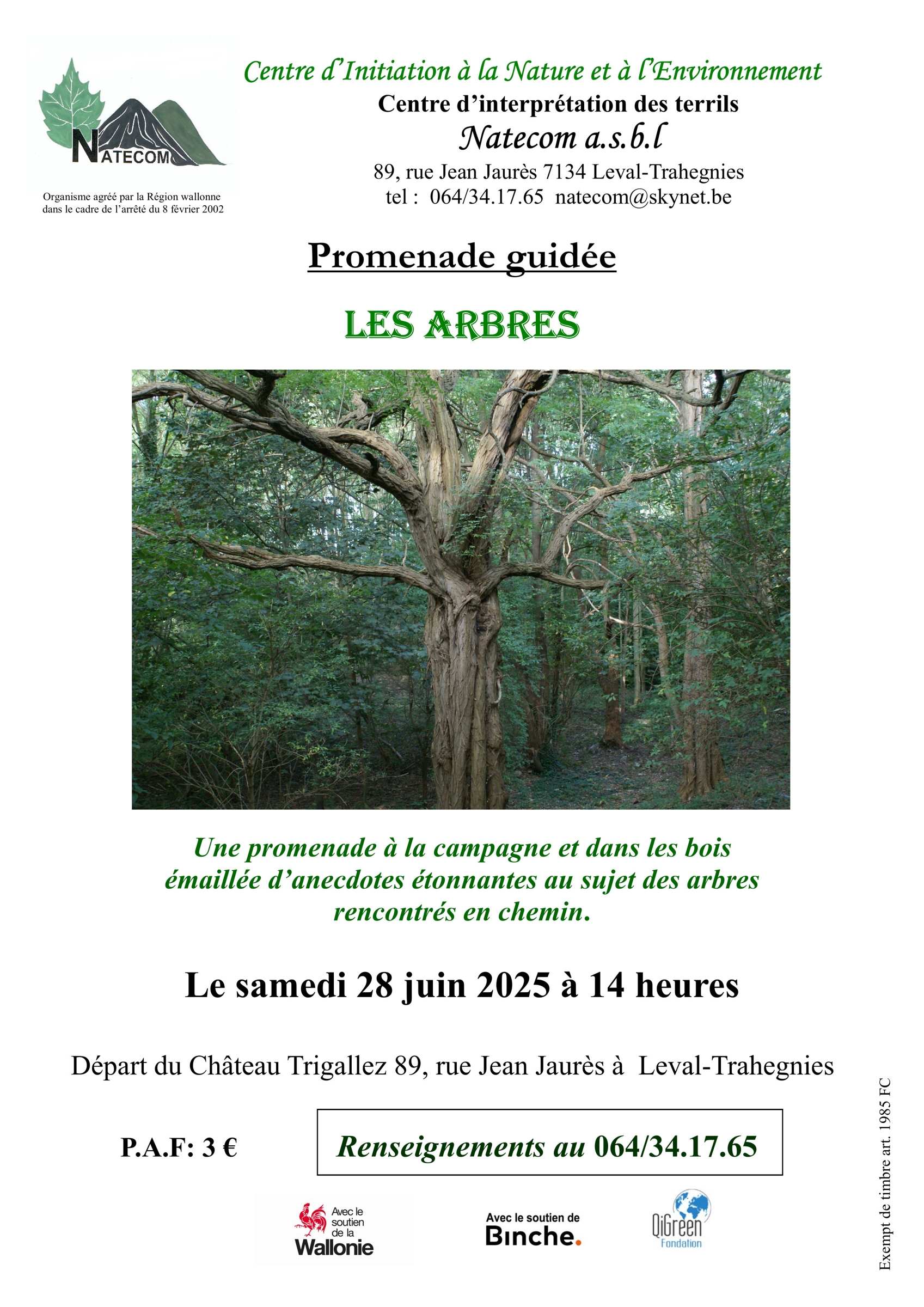 Les arbres 28 juin 2025