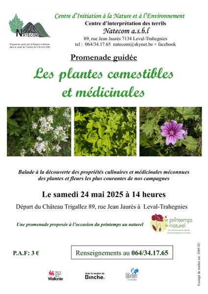 Les plantes comestibles et médicinales 24 mai 2025