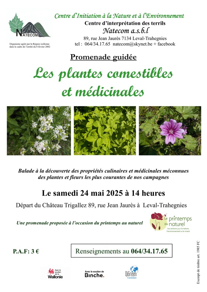 Les plantes comestibles et médicinales 24 mai 2025