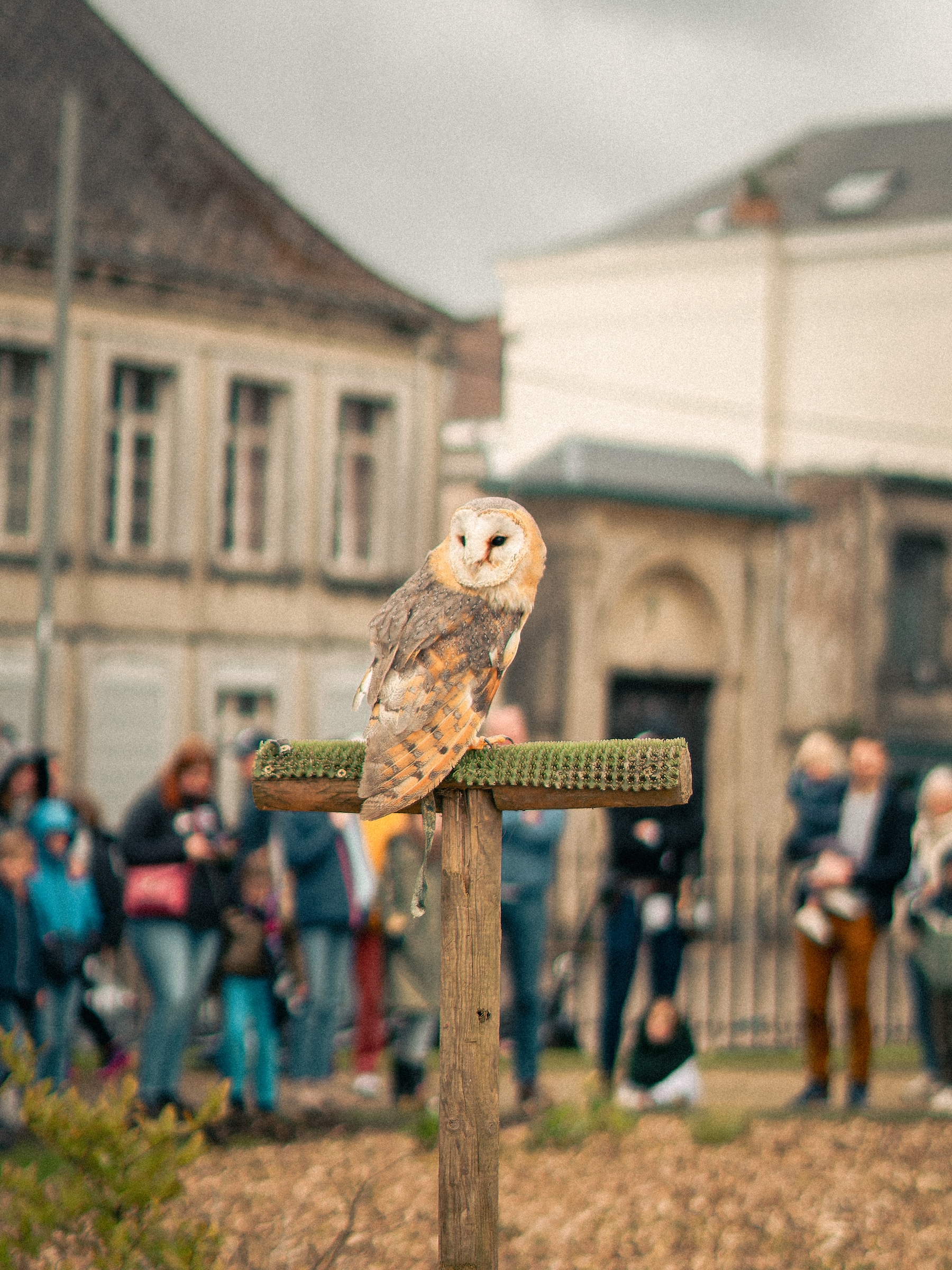 URAD BINCHE 20.04.24 (137)