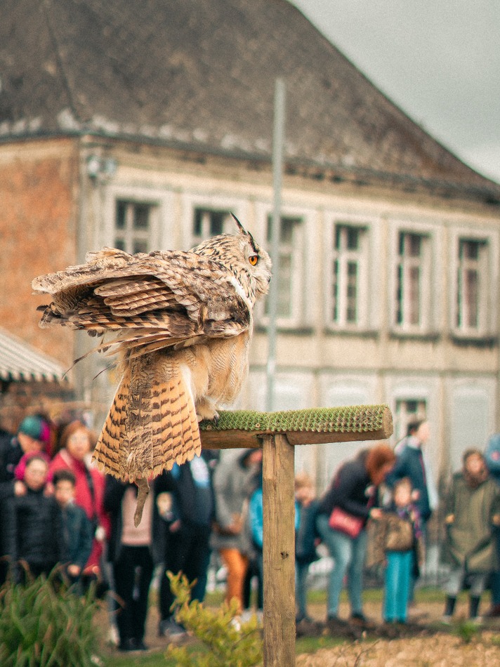 URAD BINCHE 20.04.24 (142)