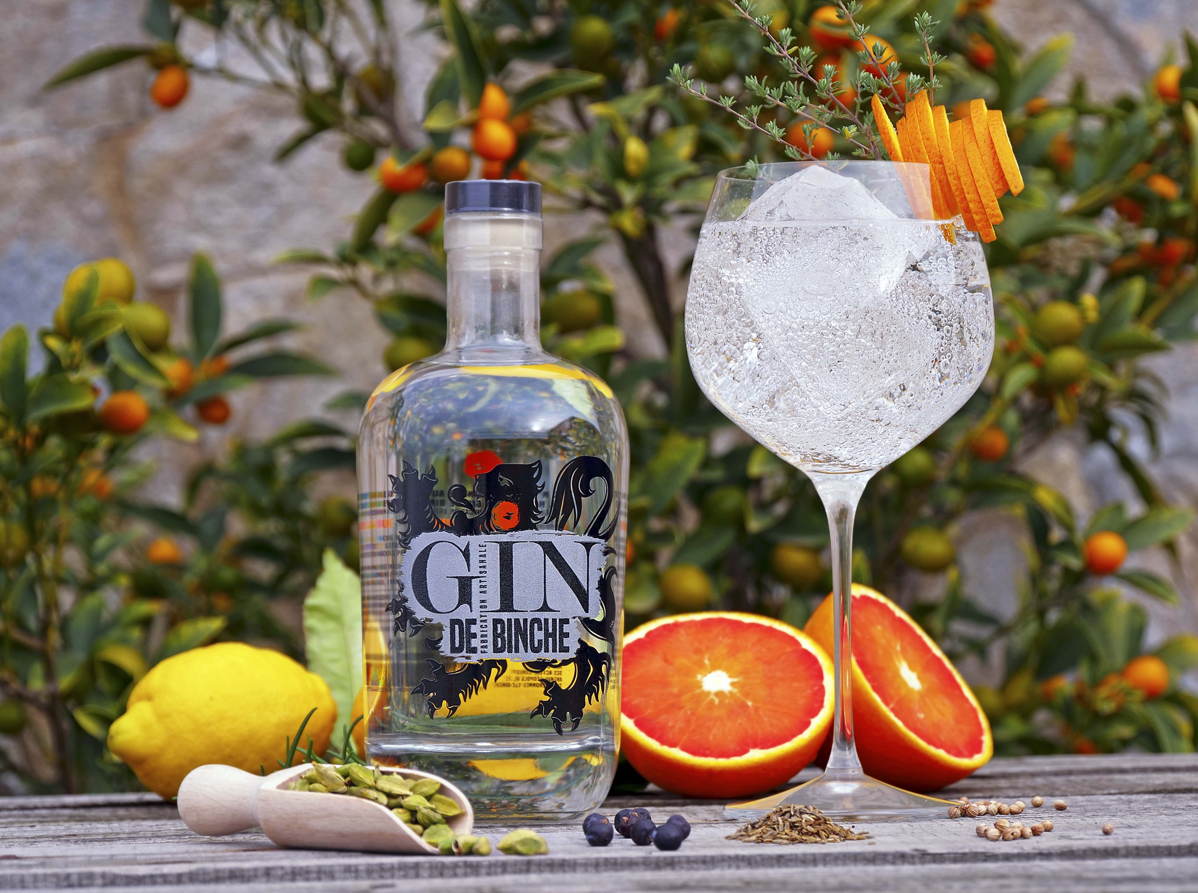 Gin de Binche reduite (2)