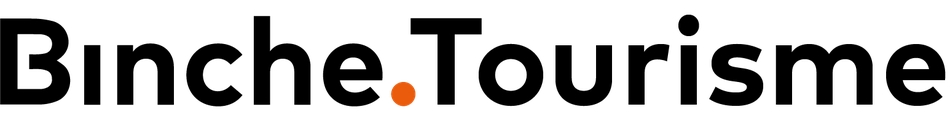 logo minisite